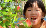 太湖幼儿园：春意浓，童趣融